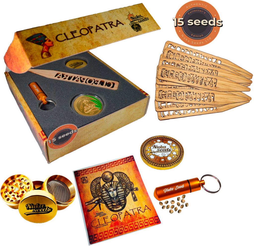 Cannabis seeds Cleopatra Nuka seeds