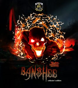 odrůda konopí banshee
