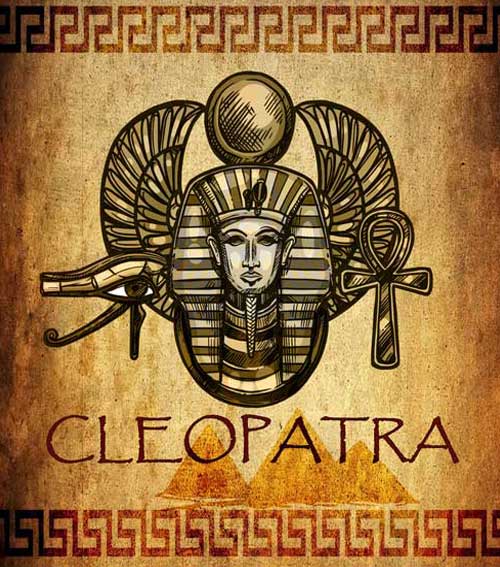 Kleopatra Hanfsamen Box von nukaseeds