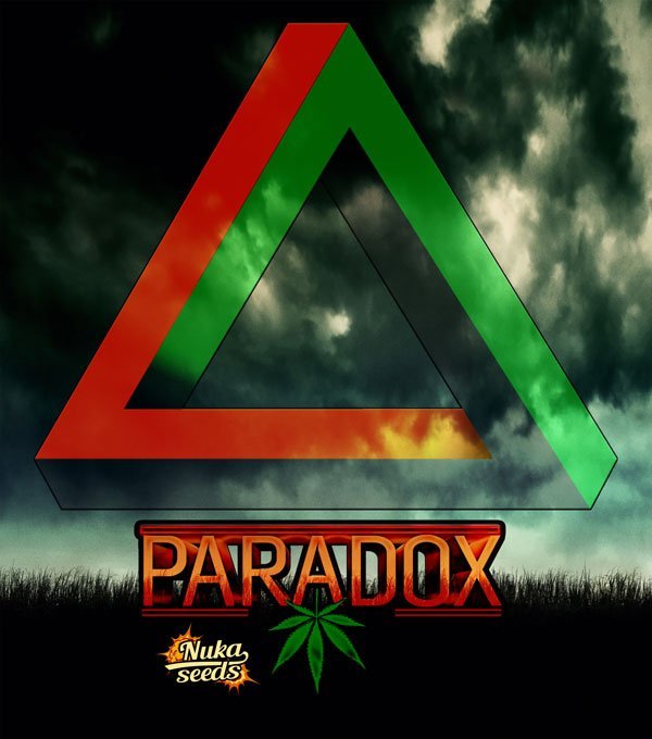 Paradox cannabis seeds by Nuka seeds face