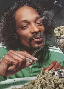 Der mit Marihuana bekiffte junge Snoop Dog