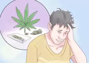 ganja abstinence protect iq