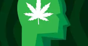 cannabis helps protect brain