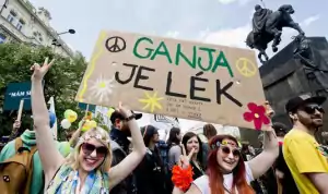 ganja v českém milion marihuana march
