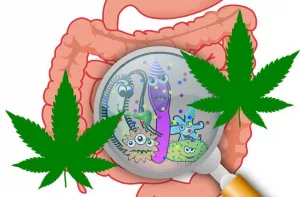 konopí a Crohnova choroba