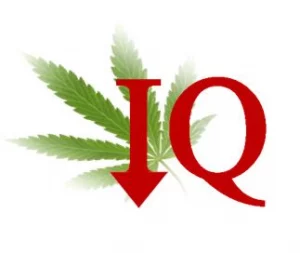 can cannabis reduce iq ?