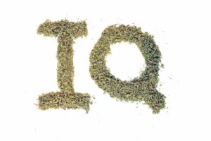 IQ and hemp