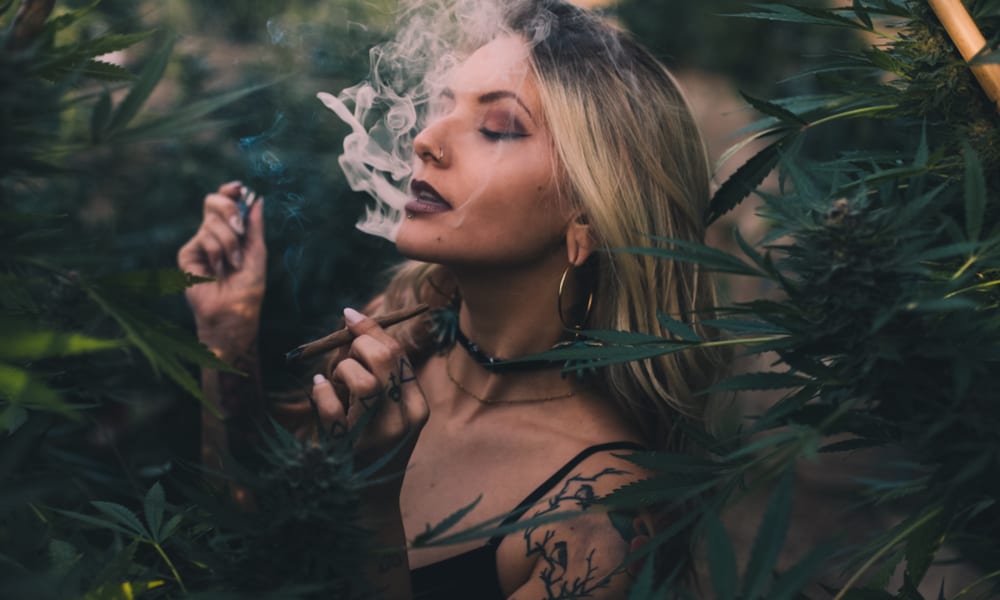 cannabis and longer life smoke nuka seeds ganjagirl