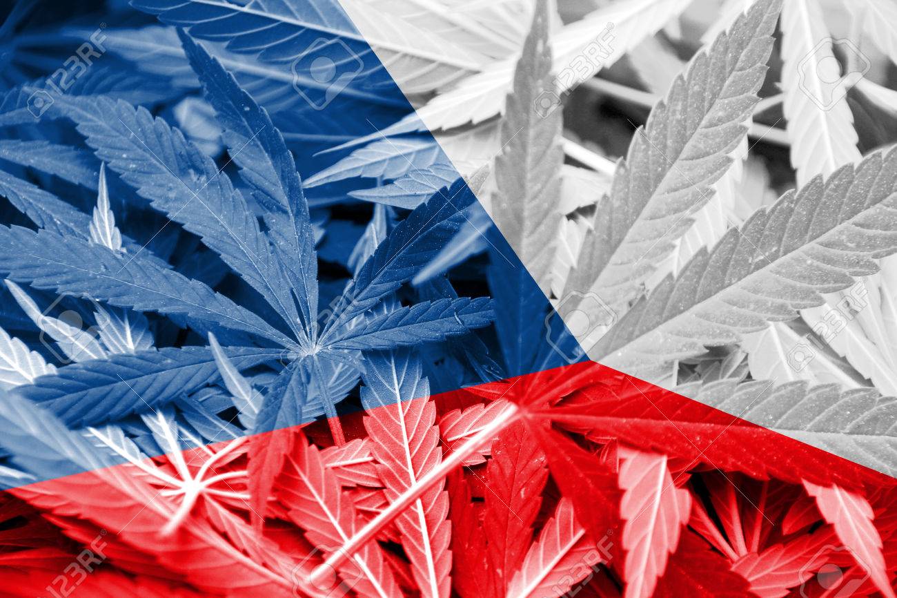 Featured image for “Medical cannabis in the Czech Republic”