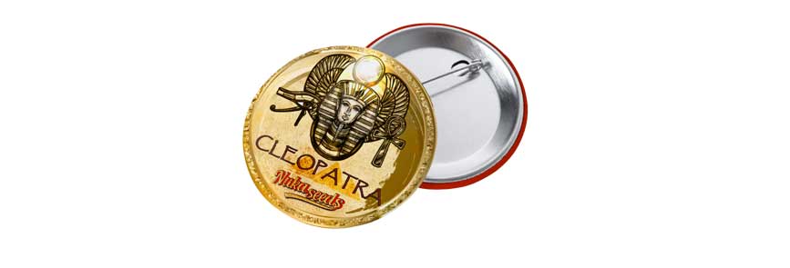 Featured image for “Odznak Kleopatra”
