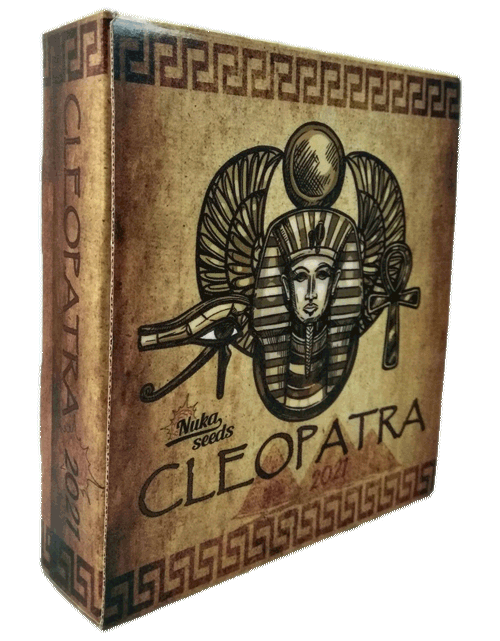Cleopatra cannabis seeds box by nukaseeds