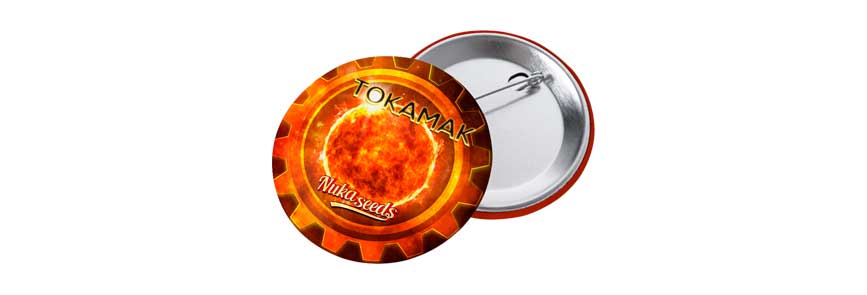 Featured image for “Odznak Tokamak”