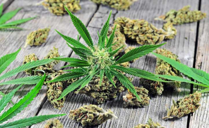 alle möglichen Stufen von gajna