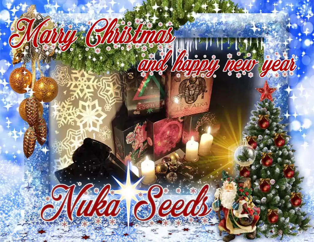 frohe Weihnachten und ein gutes neues Jahr