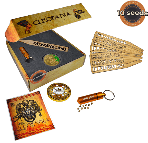cleopatra cannabis seeds Nuka 10 seeds box package