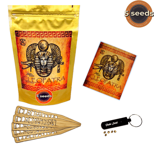 Cleopatra cannabis seeds Nuka 5 seeds box package