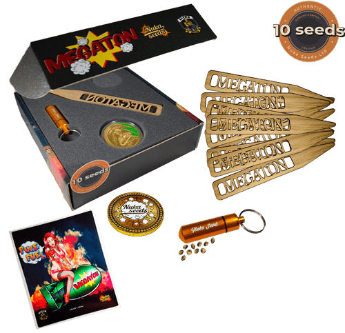 megaton cannabis seeds Nuka 10 seeds box package