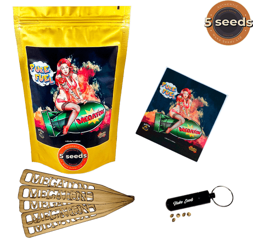 Megaton cannabis seeds Nuka 5 seeds box package