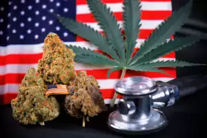 cannabis amerikanisch forschung