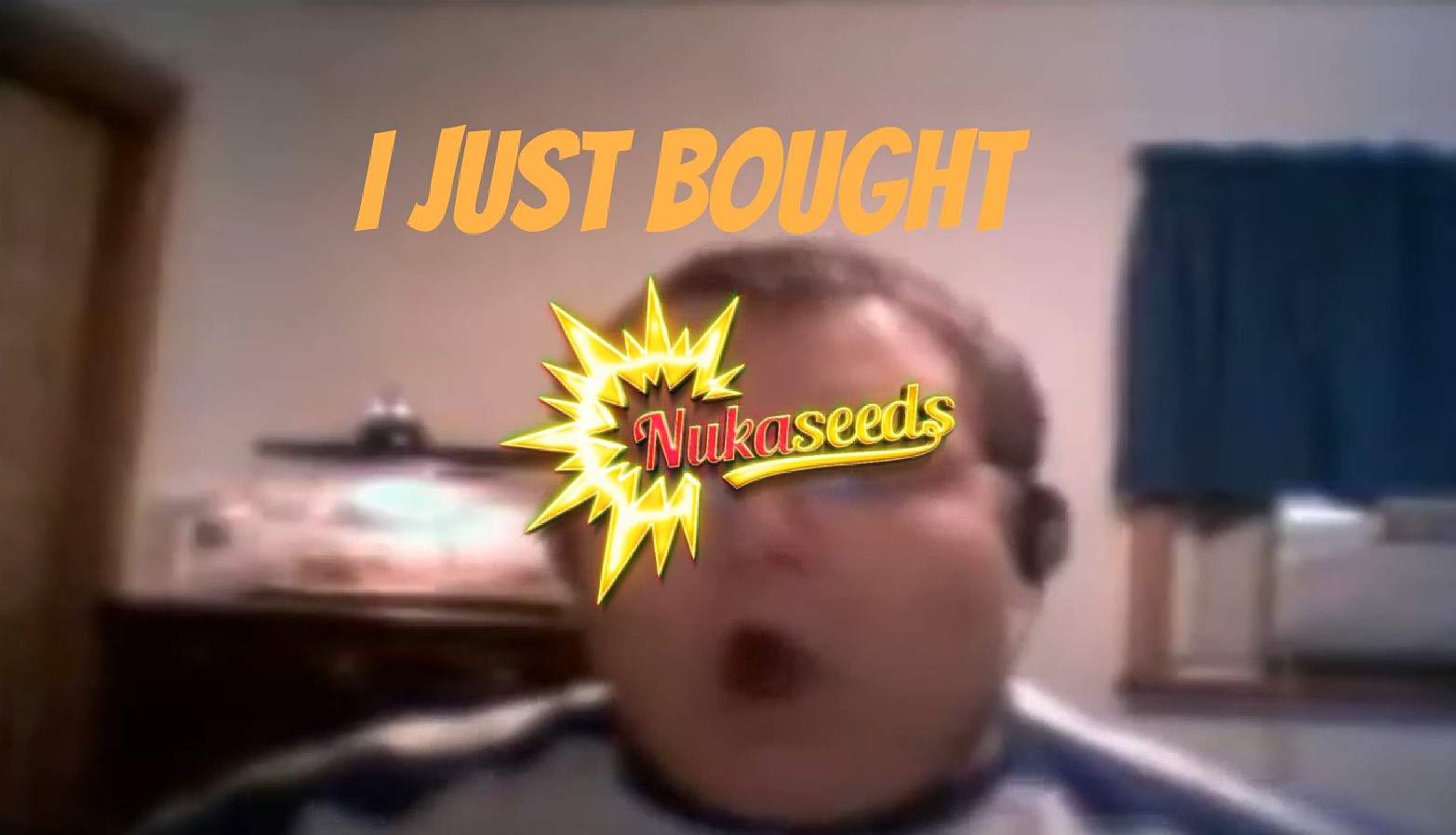 I just bought nuka seeds, meme video