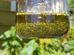 Cannabis-Tinkturen herstellen