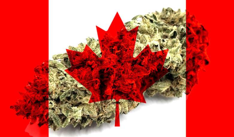 Kanadská konopná vlajka