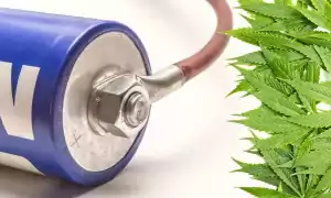 konopný kondenzátor list