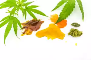 Cannabis-Lebensharz vs. Rosin