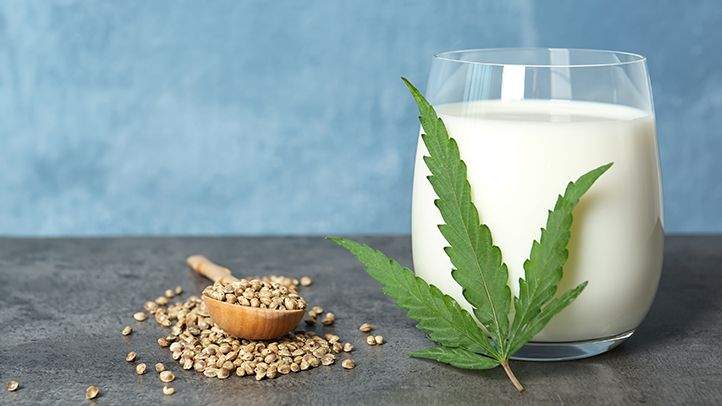 cannabis milk with leave nad seeds