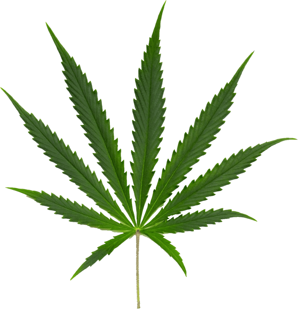 Nuka list marihuany konopí seté