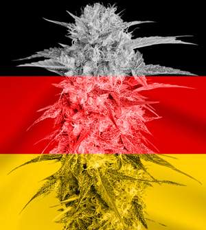 Legalisierung von Cannabis