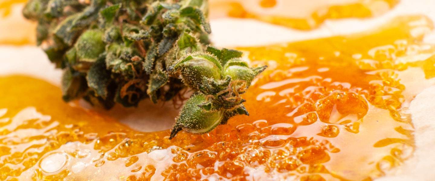 Featured image for “Live Resin – live hemp resin extract”