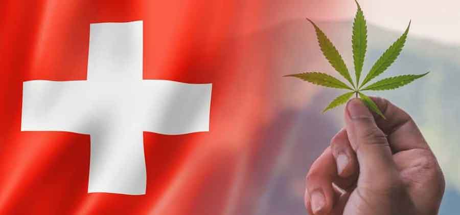 Zürich will den Freizeitkonsum von Marihuana noch dieses Jahr testen