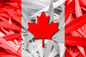medizinisches marihuana in kanada