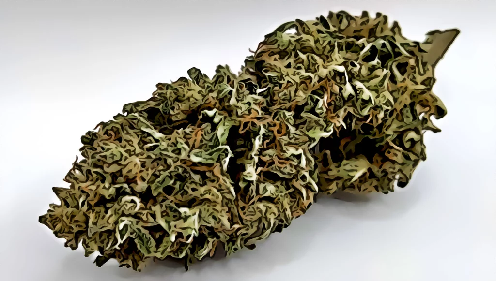 gutes Cannabis