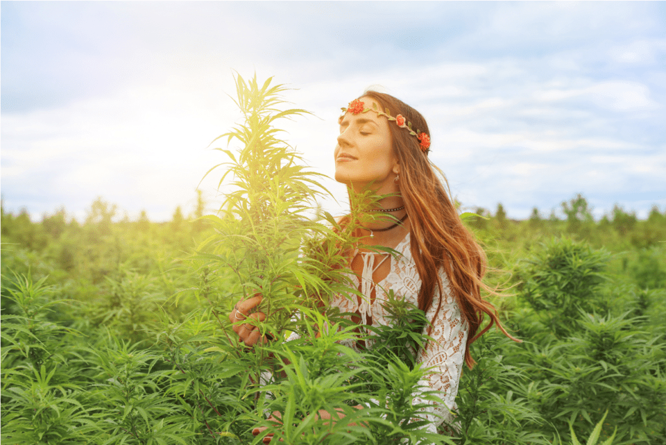 Achtsamkeitsmeditation und Marihuana