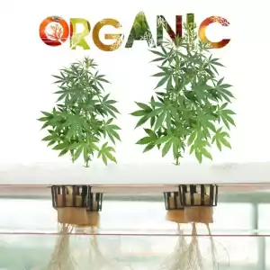 bioponies organic hydro system