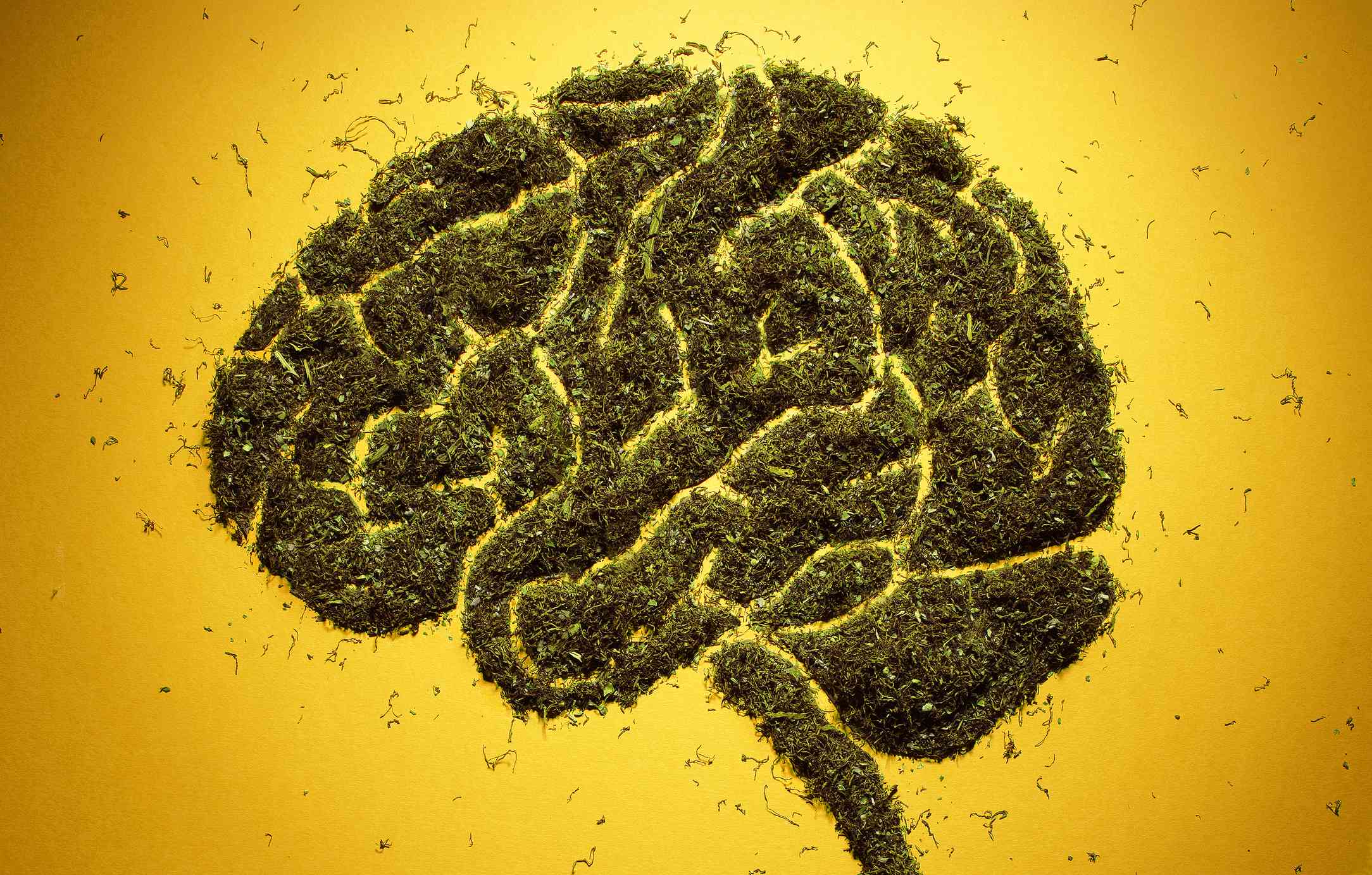 human brain made from cannabis buds