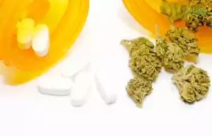 Cannabisblüten vs. Drogenpillen