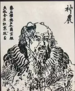 kaiser shen nong cannabiskur