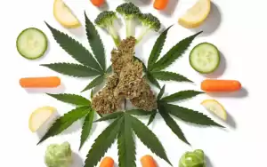 Gesundes Cannabisblatt und Vitamin C