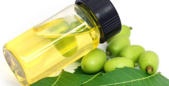 natürliches Öl gegen Schädlinge und Schimmel an Cannabispflanzen