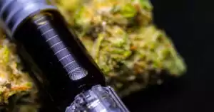 Rso Phönix-Tränen Cannabis-Extrakt