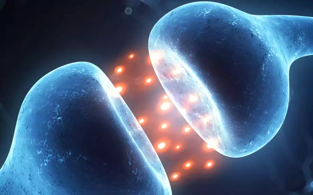 Endokanabinoidní systém