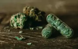 Weed-Pillen und -Knospen