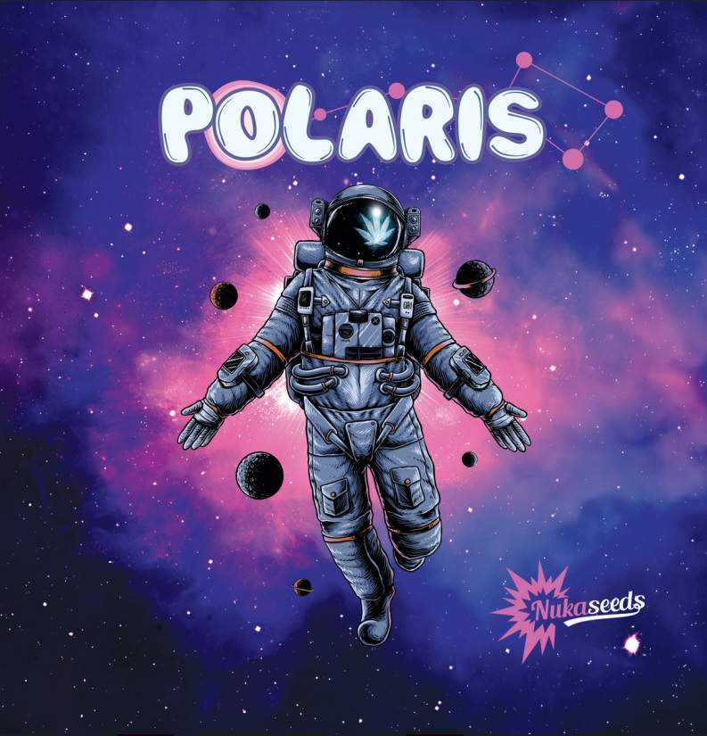 Polaris-Logo für Konopex