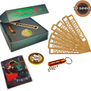 babayaga cannabis seeds Nuka 10 seeds box package