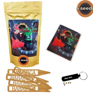 babayaga cannabis seeds Nuka 5 seeds in a bag
