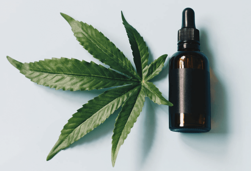 Cannabisblätter und -öl für das Tourette-Syndrom