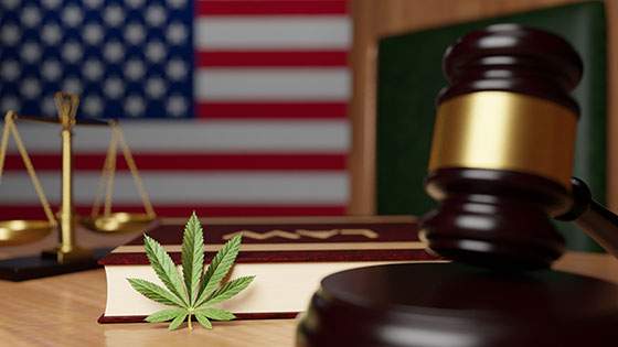 das usa gericht mit cannabis blatt